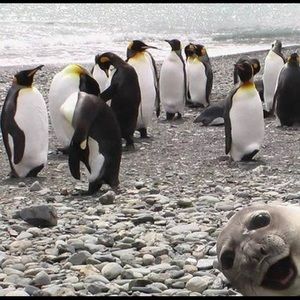 Meet your Posher, Vonda